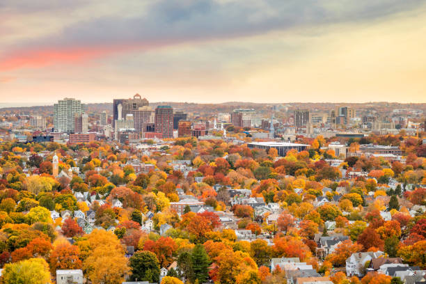istock Downtown New Haven from East Rock Park 1131482663