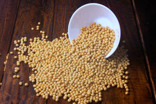 istock raw and fresh soy beans inside white ceramic bowl on rustic wooden table 1131486226