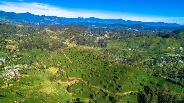 Photo of Haputale  - a town of Badulla District in the Uva Province, Sri Lanka.