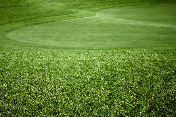 Vert Golf - Photo