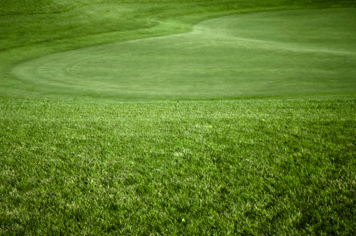 Golf clubs and golf balls on a green lawn in a beautiful golf course with morning sunshine.
