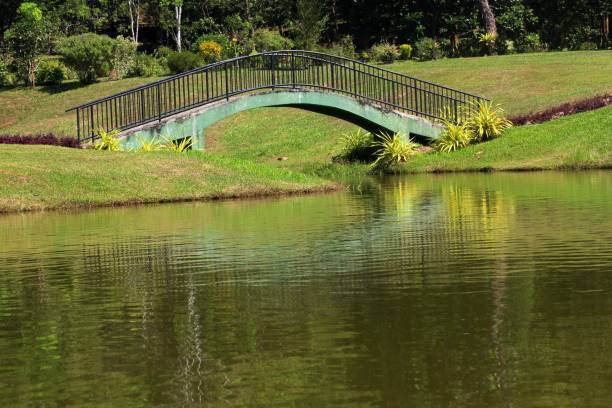 a bridge seen over a lake with a beautiful view, seen in a botanical garden in sri lanka stock photo
