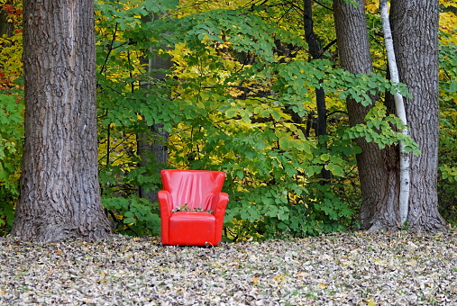 Abandoned A leather red chair left in the woods in autumn surrounded by trees on a bed of dead leaves