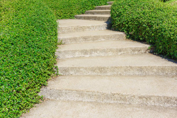 istock outdoor stone walkway in garden 1131504891