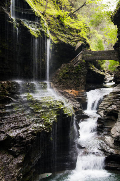 istock waterfall at Watkins Glen New York 1131506320