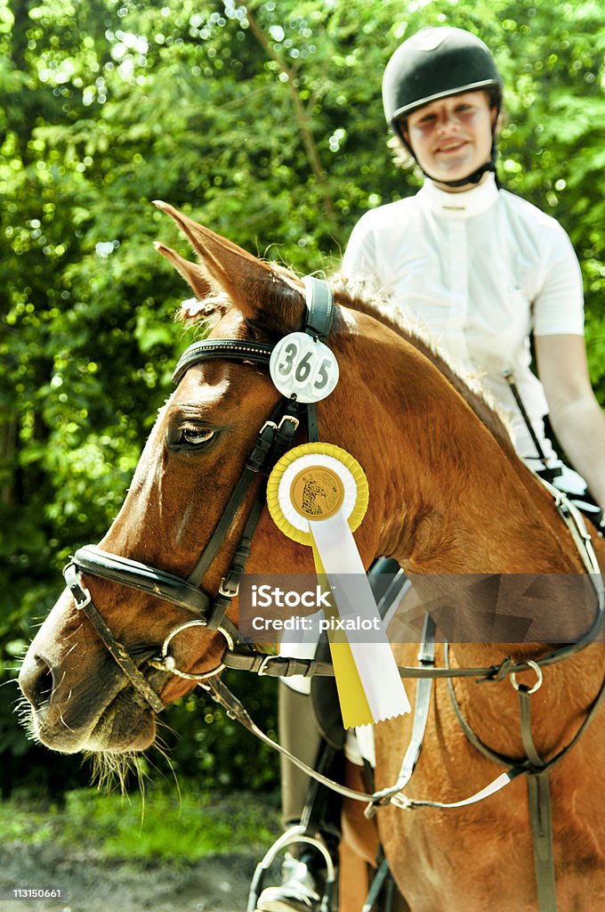 Heureux gagnant - Photo de Cheval libre de droits