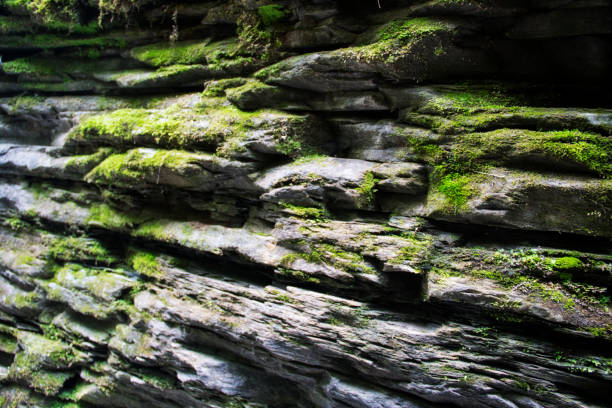 istock green moss on rocks at Watkins Glen New York 1131506946