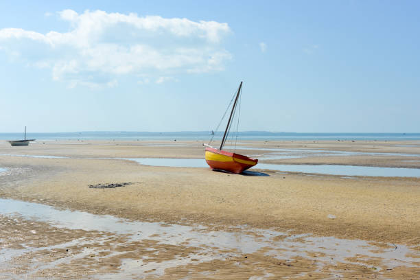 istock Vilanculos Beach, Mozambique 1131508429