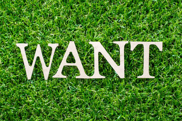 istock Wood letter in word want on artificial green grass background 1131508443
