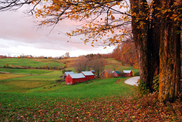 bukolijska scena wiejska późną jesienią w vermont - jenne farm zdjęcia i obrazy z banku zdjęć