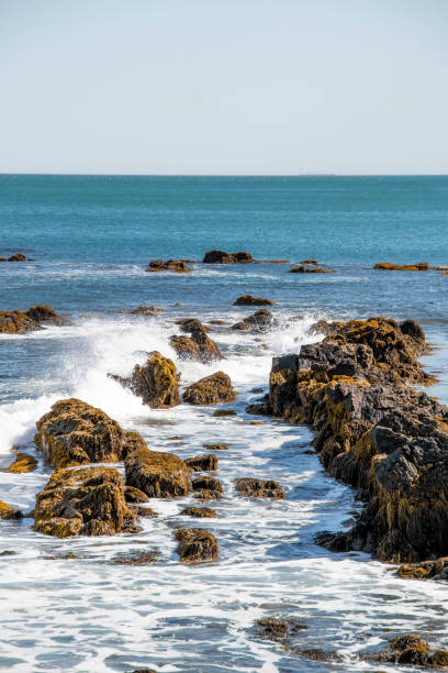 istock ocean view from the cliff walk in Newport Rhode Island 1131510084