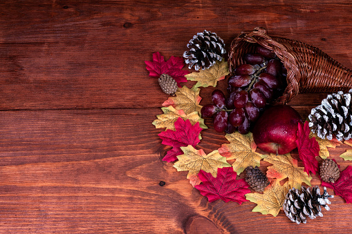Thanksgiving decor with horn of plenty, frosted pine cones, apple, grapes and maple leaves