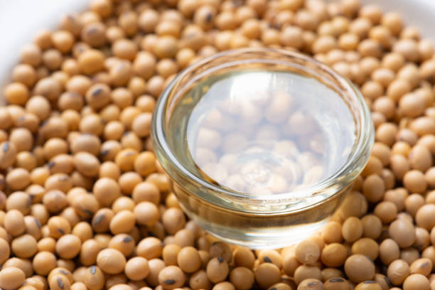 istock Soy bean and soy oil on  table 1131521458