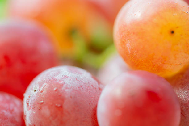 Close-up shot of grape plastic packaging box