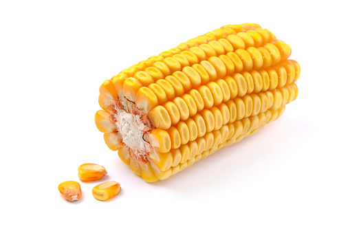 Corn On White Background. Maize On White