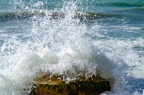 istock Splashing wave on the Black sea. 1131522638