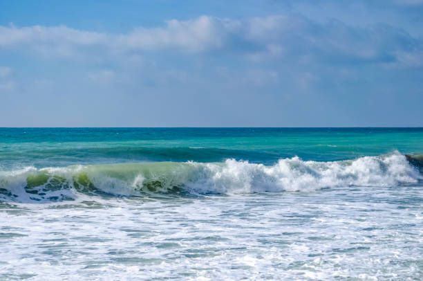 istock Splashing wave on the Black sea. 1131524260