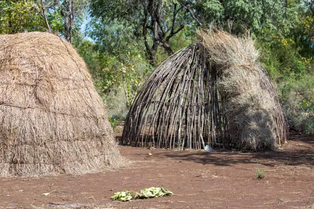 A group of huts constructed by the Mursi people in Mago National Park in the Omo Valley.
