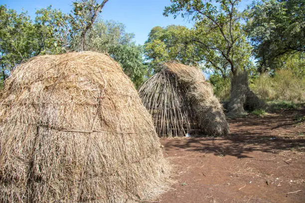 A group of huts constructed by the Mursi people in Mago National Park in the Omo Valley.