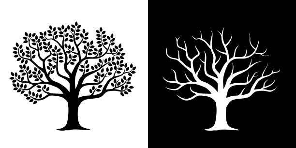 leafiger baum und verstreute baumillustration gesetzt - tree stock-grafiken, -clipart, -cartoons und -symbole