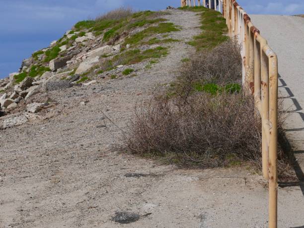 Southern California Shoreline