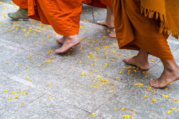 Step of Monks feet, walk on terrazzo floor with yellow flower on ground.
