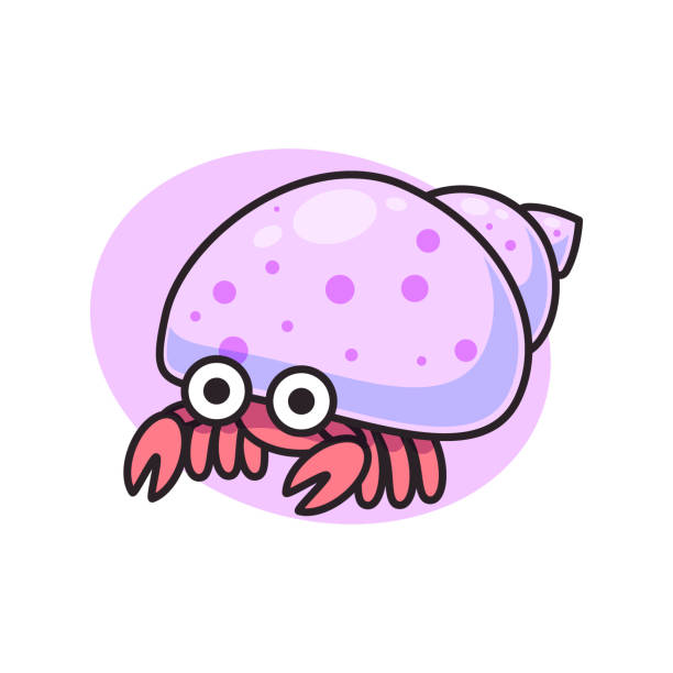 Cute Hermit Crab Isolated Symbol Vector Stock Illustration - Download Image  Now - Hermit Crab, Beauty, Cheerful - iStock