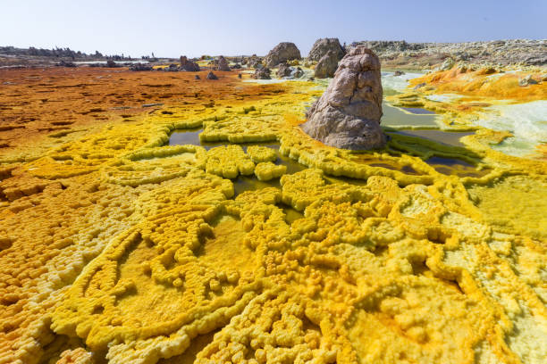 Bizarre, Alien Surfaced Rock Formations at Dallol in Ethipia's Danakil Depression Minerals come up through the ground to stain these bizarre salt formations. danakil desert photos stock pictures, royalty-free photos & images