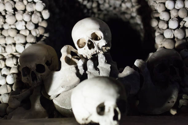 istock Kostnice skulls and bones in Kutna Hora 1131530375