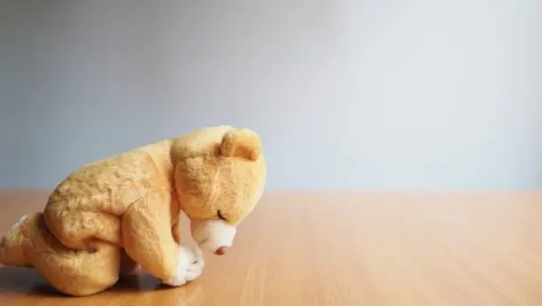 Close up on cute toy bear praying on white background. Ideas for believing in a religion.