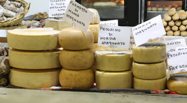 italian cheese with text PECORINO that means cheese made with mi italian cheese with text PECORINO that means cheese made with milk of sheep and goat for sale pecorino romano stock pictures, royalty-free photos & images