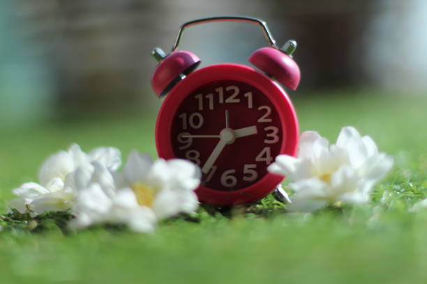 istock Time is the most important treasure for us 1131534245