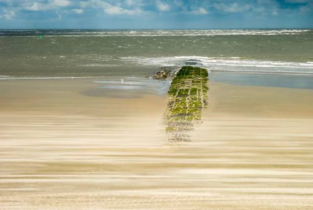 Shipwreck at Cabo San Pablo, Tierra del Fuego province, Argentina