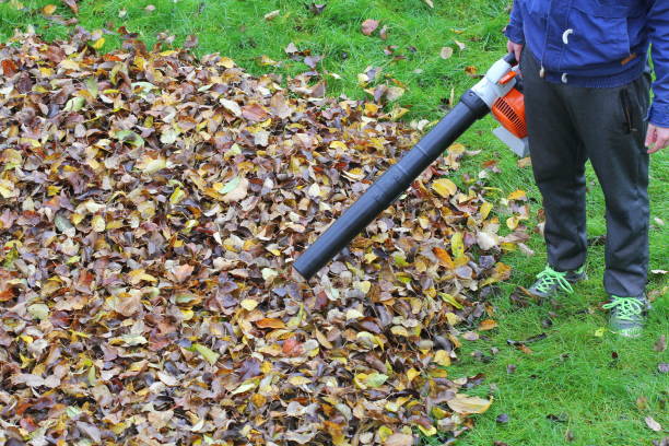 istock Gardener clearing up the leaves using a leaf blower tool 1131536750