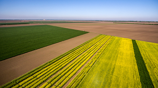 aerial view agricultural field   from a drone. Beautiful agricultural landscape