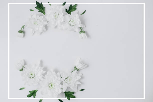 istock Creative flowers composition. Wreath made of white flowers on white background with frame. Spring and summer concept. Flat lay, copy space 1131538231