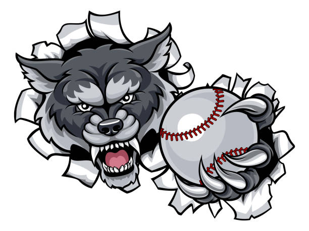 ilustrações, clipart, desenhos animados e ícones de mascote do basebol do lobo que quebra o fundo - baseballs baseball isolated backgrounds