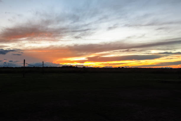 istock Dusk in the Bolivian Amazon. 1131541179