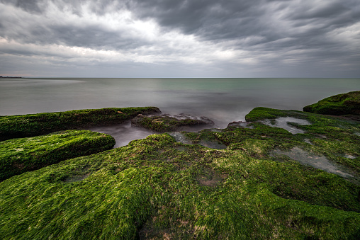 Colorful sea shore with green algae with long exposure water