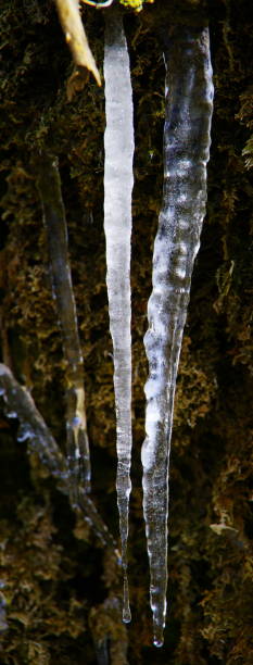 Icicles on a vineyard wall UV-Filter, temperatur stock pictures, royalty-free photos & images
