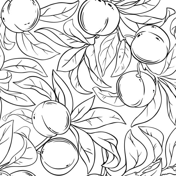 wzór wektora brzoskwini - nectarine peach backgrounds white stock illustrations