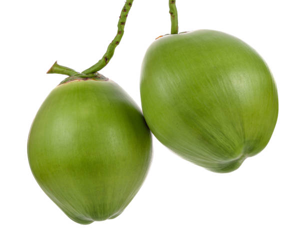 istock Green coconut fruit isolated on white background 1131544589