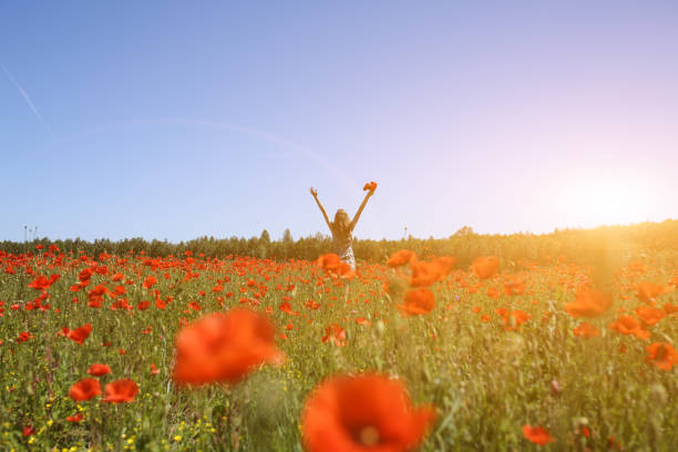 美しい少女は、草の中に赤いポピーの花の完全な夏のフィールドに立っています。緑の芝生の背景と晴れた日。素朴なドレスで幸せな女性は手を保持しています。彼女の髪の風 - poppy field red flower ストックフォトと画像