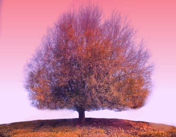 istock Glory of the nature 1131546023