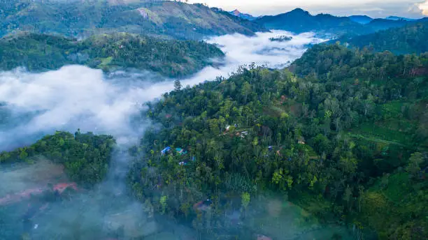 Photo of Ella is a beautiful small town on the southern edge of Sri Lanka.