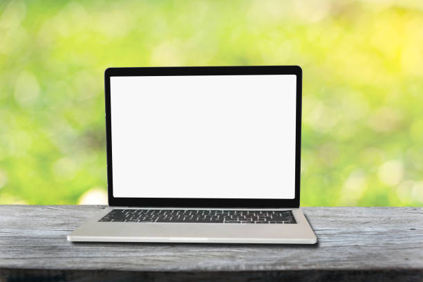 istock Blank laptop with sunny abstract green nature background with table, defocused 1131549276