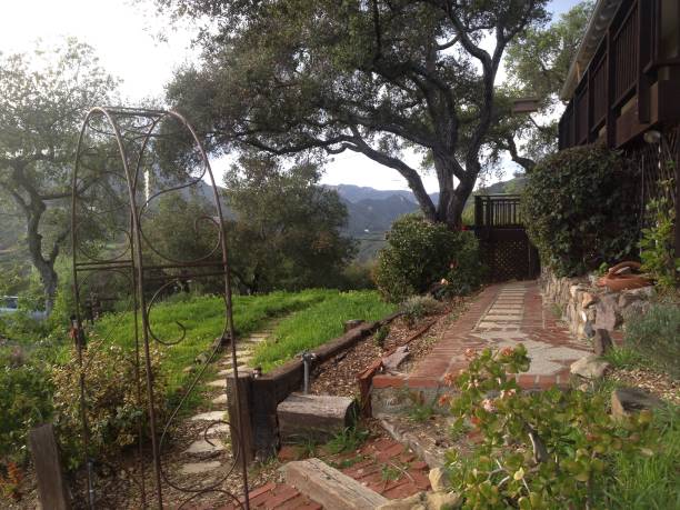 istock Formal garden on a hill with steps and gate 1131549280