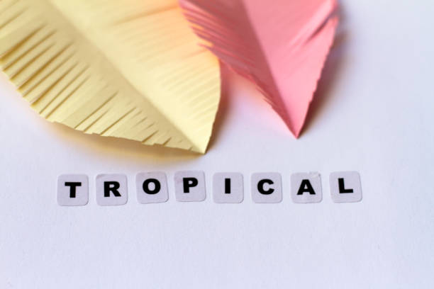 istock Tropical word written in black letters 1131550591