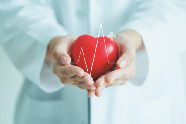 concepto médico de cardiología cardíaca - heart health fotografías e imágenes de stock