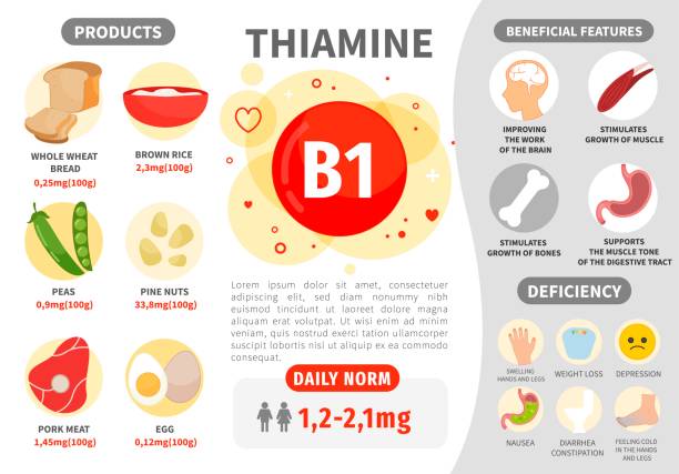 infografiki witamina b1. - vitamin b1 stock illustrations